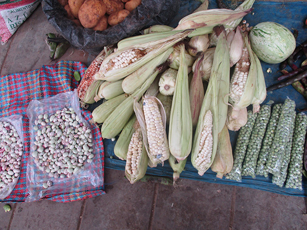Display of corn and beans